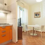 Rent 3 bedroom apartment of 83 m² in Roma