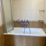 Rent 4 bedroom apartment in Hodonín