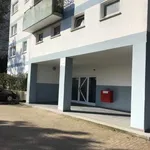 Rent 3 bedroom apartment of 78 m² in Velbert