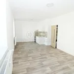 Rent 1 bedroom apartment in Děčín