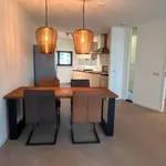 Rent 3 bedroom apartment of 102 m² in Paleiskwartier