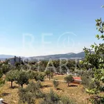 Rent 3 bedroom house of 300 m² in Καπανδρίτι