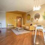 Rent 1 bedroom apartment in rome