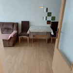 Rent 1 bedroom apartment in Teplice