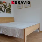 Rent 2 bedroom apartment of 35 m² in Brno