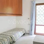 Rent 3 bedroom apartment of 84 m² in Pietrasanta