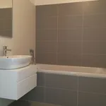 Rent 1 bedroom apartment of 80 m² in Brno