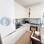 Rent 2 bedroom apartment of 50 m² in Roma