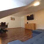 Rent 3 bedroom apartment of 105 m² in Vienna