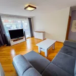 Rent 2 bedroom apartment of 54 m² in Toruń