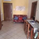 Rent 3 bedroom apartment of 60 m² in Tortoreto