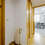 Rent a room in madrid