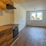 Rent 1 bedroom apartment of 28 m² in Frýdlant