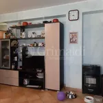 Rent 2 bedroom apartment of 55 m² in Roma