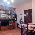 Rent a room of 120 m² in rome