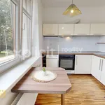 Rent 1 bedroom apartment of 32 m² in Zlín