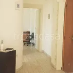 Rent 3 bedroom apartment of 65 m² in Cagliari