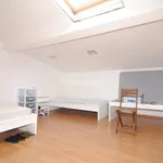 Rent 7 bedroom apartment of 110 m² in Livorno