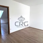 Rent 4 bedroom apartment in Rosice