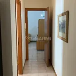 Rent 3 bedroom apartment of 85 m² in Catania