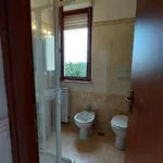 Rent 2 bedroom apartment of 40 m² in Rome