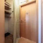 Rent 3 bedroom apartment of 72 m² in Praha