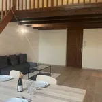 Appartement de 50 m² avec 1 chambre(s) en location à Lyon