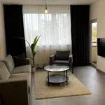 Rent 2 bedroom apartment of 49 m² in Berlin