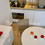 Rent 2 bedroom apartment of 50 m² in Bologna