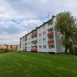 Rent 3 bedroom apartment of 55 m² in Essen