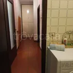 Rent 3 bedroom apartment of 100 m² in Padova