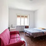 Rent 6 bedroom apartment in Rome