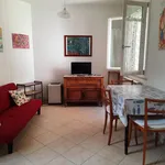 Rent 2 bedroom apartment of 45 m² in Senigallia