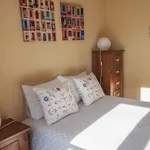 Rent 1 bedroom apartment in Lisbon