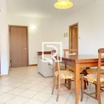 Rent 2 bedroom apartment of 55 m² in Forlì