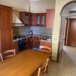 Rent 3 bedroom apartment of 88 m² in Roma