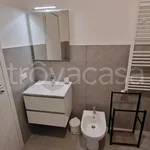 Rent 1 bedroom apartment of 45 m² in Carugate