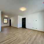 Rent 1 bedroom house of 120 m² in Tábor