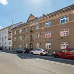 Rent 1 bedroom apartment in Louny