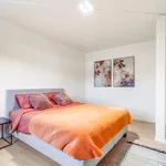  appartement avec 1 chambre(s) en location à Ghent