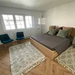 Rent 3 bedroom house of 140 m² in Heidelberg