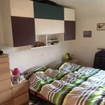 Huur 3 slaapkamer huis van 7500 m² in Walhain