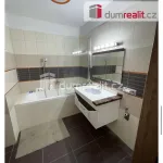 Rent 3 bedroom apartment of 66 m² in Prague