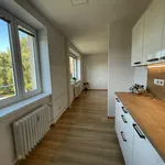 Rent 1 bedroom apartment in Ostrava