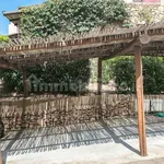 2-room flat Li Mucchi Bianchi, Baja Sardinia, Arzachena