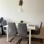 Rent 2 bedroom apartment in Nymburk