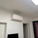 Rent 1 bedroom apartment of 28 m² in Milano