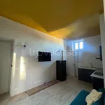 Rent 2 bedroom apartment of 55 m² in Torino