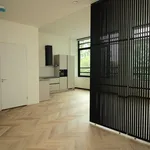 Rent 1 bedroom apartment of 60 m² in Sterrebosbuurt