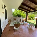 Rent 3 bedroom house of 80 m² in Carovigno